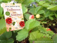 Cover Erdbeeren im Sommer