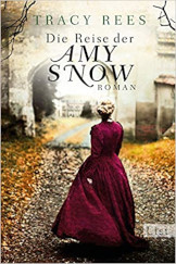 Cover Info Die Reise der Amy Snow