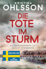 Cover Info Die Tote im Sturm