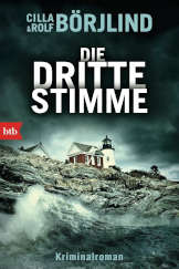 Cover Info Die dritte Stimme